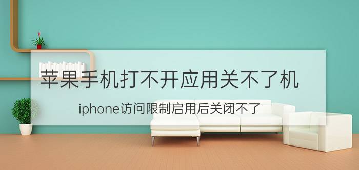 苹果手机打不开应用关不了机 iphone访问限制启用后关闭不了？